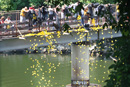 Rubber Ducks leaving the foot bridge