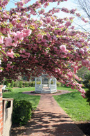 View into Mamie Davis Park