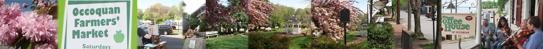 Occoquan Mosaic