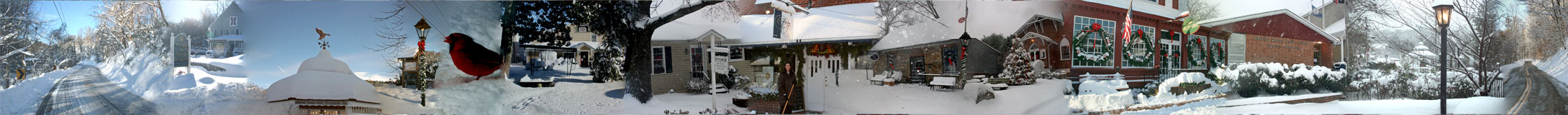 Occoquan Mosaic