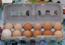 Farm Fresh Eggs